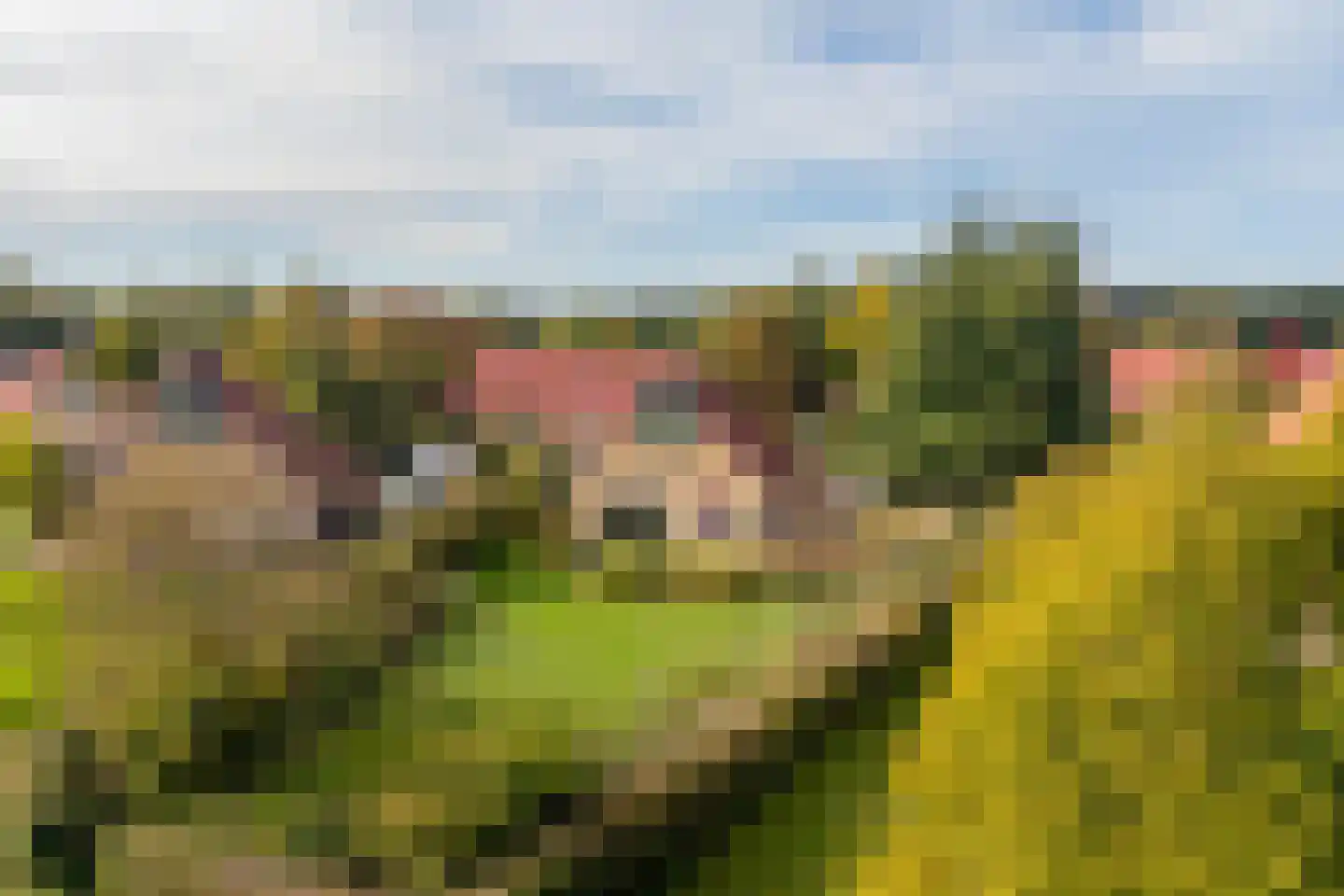 Zuidlaarderweg 37 V 59 Tynaarlo thumbnail 7