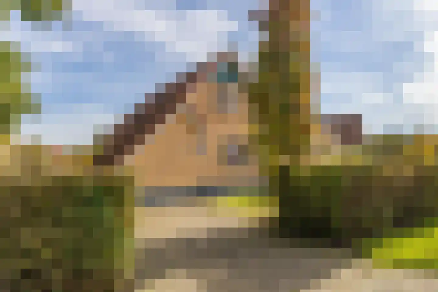 Zuidlaarderweg 37 V 59 Tynaarlo thumbnail 9