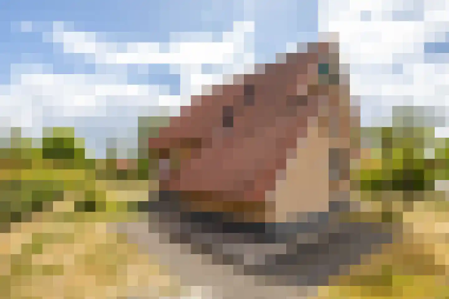 Zuidlaarderweg 37 V 60 Tynaarlo thumbnail 14