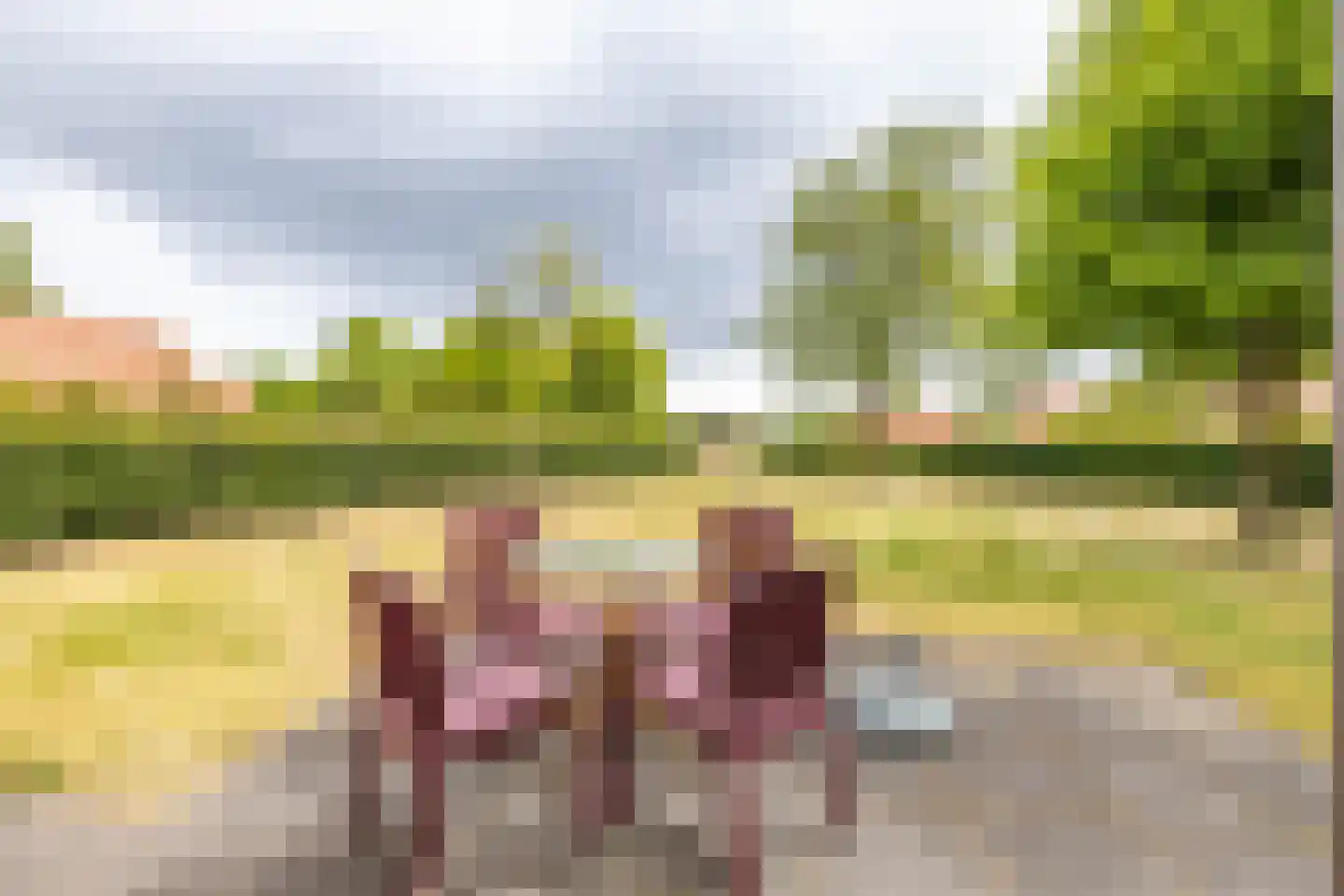 Zuidlaarderweg 37 V 60 Tynaarlo thumbnail 23