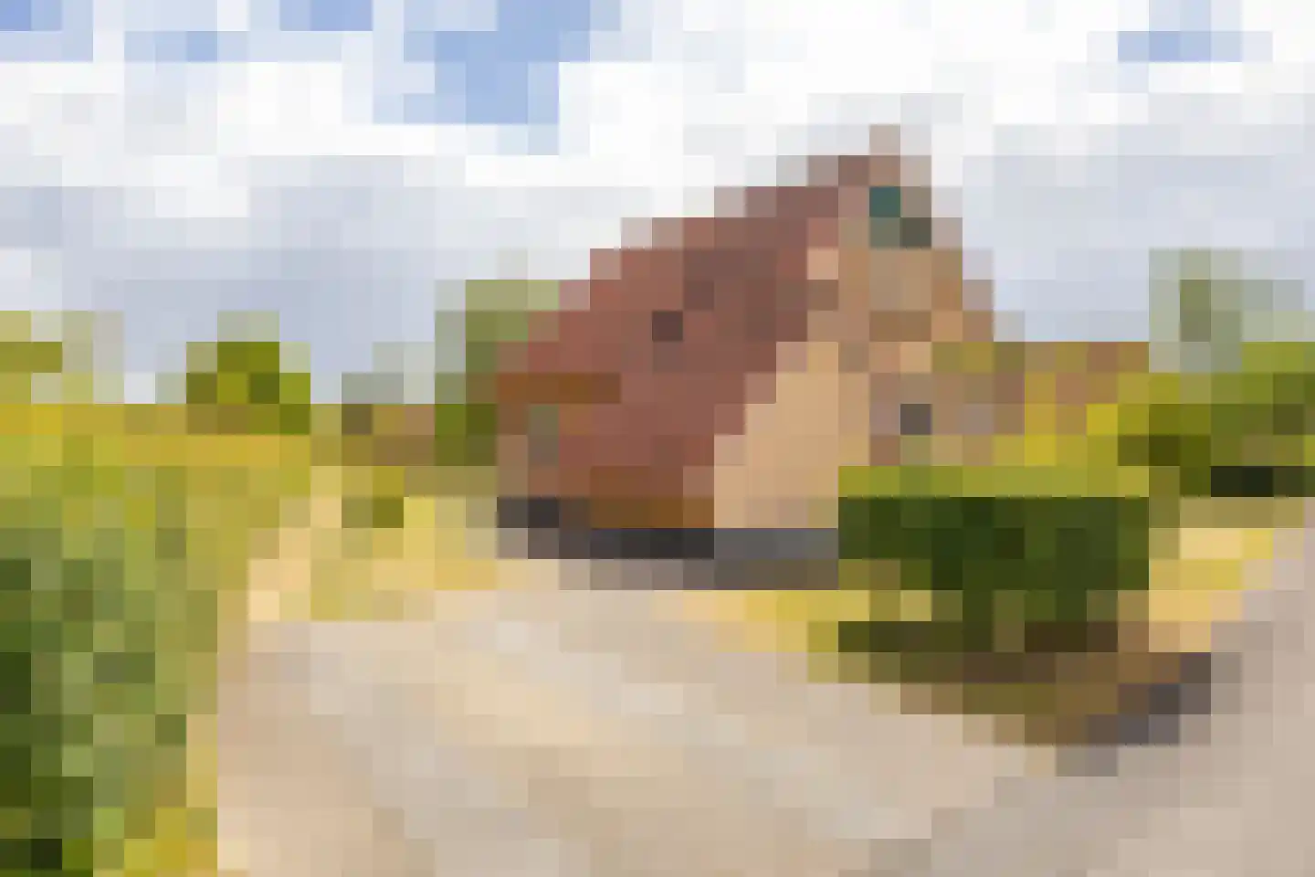 Zuidlaarderweg 37 V 60 Tynaarlo thumbnail 7
