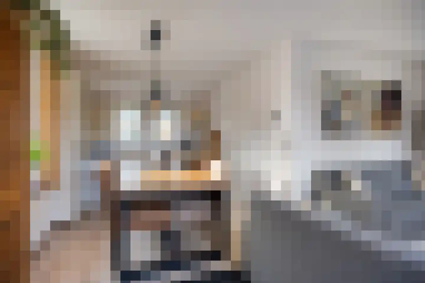 Zuidlaarderweg 37 V 61 Tynaarlo thumbnail 10