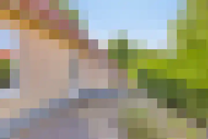 Zuidlaarderweg 37 V 70 Tynaarlo thumbnail 10