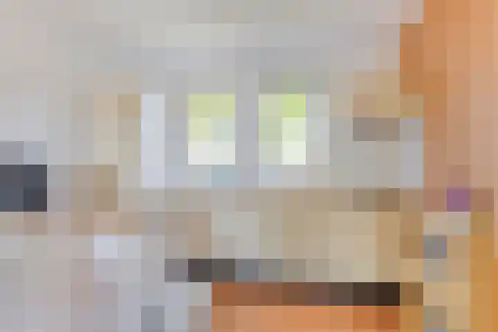 Zuidlaarderweg 37 V 70 Tynaarlo thumbnail 21