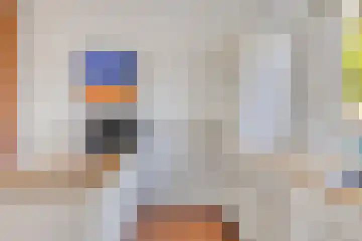 Zuidlaarderweg 37 V 70 Tynaarlo thumbnail 23