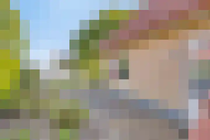 Zuidlaarderweg 37 V 70 Tynaarlo thumbnail 31