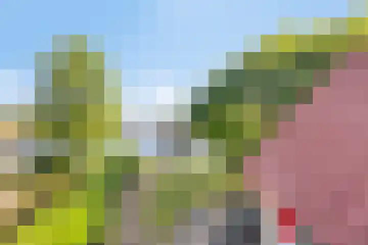 Zuidlaarderweg 37 V 70 Tynaarlo thumbnail 32
