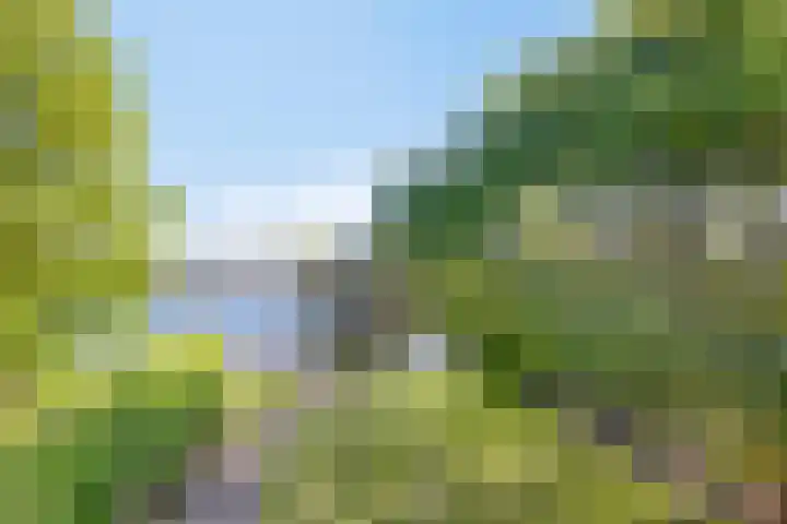 Zuidlaarderweg 37 V 70 Tynaarlo thumbnail 33
