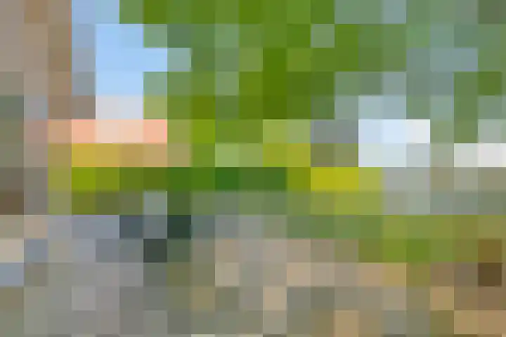 Zuidlaarderweg 37 V 70 Tynaarlo thumbnail 35