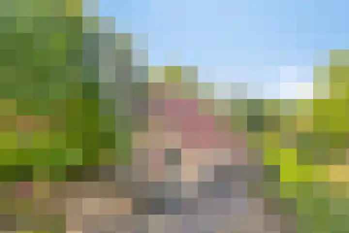 Zuidlaarderweg 37 V 70 Tynaarlo thumbnail 38