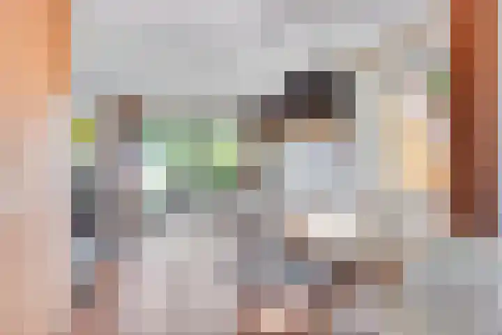 Zuidlaarderweg 37 V 70 Tynaarlo thumbnail 4