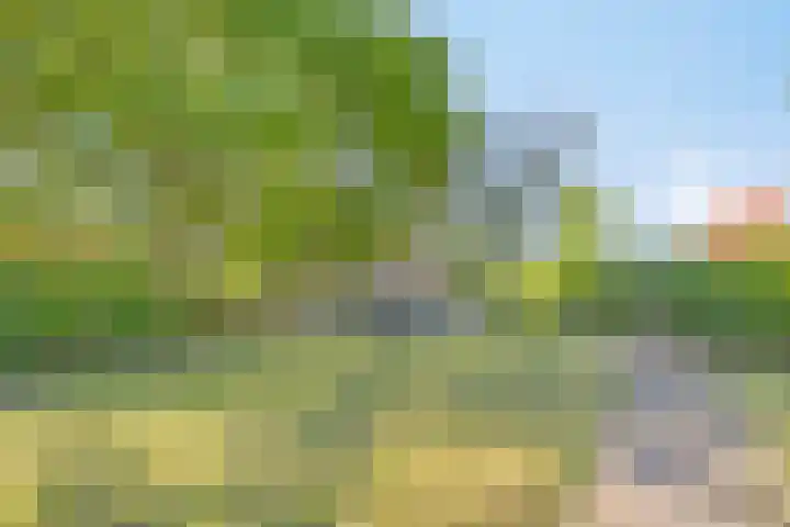 Zuidlaarderweg 37 V 70 Tynaarlo thumbnail 40