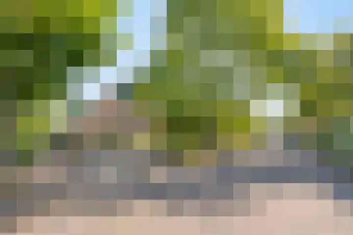 Zuidlaarderweg 37 V 70 Tynaarlo thumbnail 41