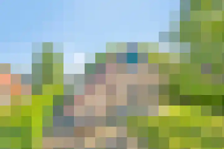Zuidlaarderweg 37 V 70 Tynaarlo thumbnail 44