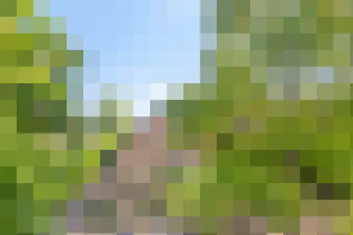 Zuidlaarderweg 37 V 70 Tynaarlo thumbnail 5