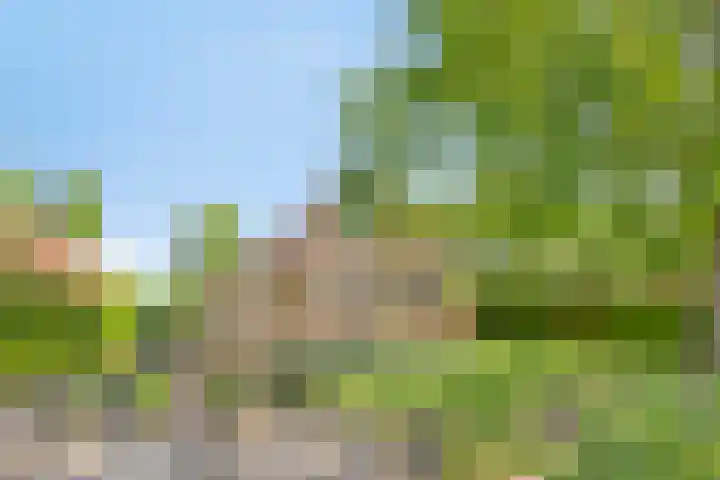 Zuidlaarderweg 37 V 70 Tynaarlo thumbnail 6