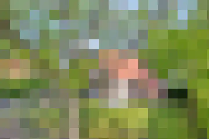 Zuidlaarderweg 37 V 70 Tynaarlo thumbnail 8