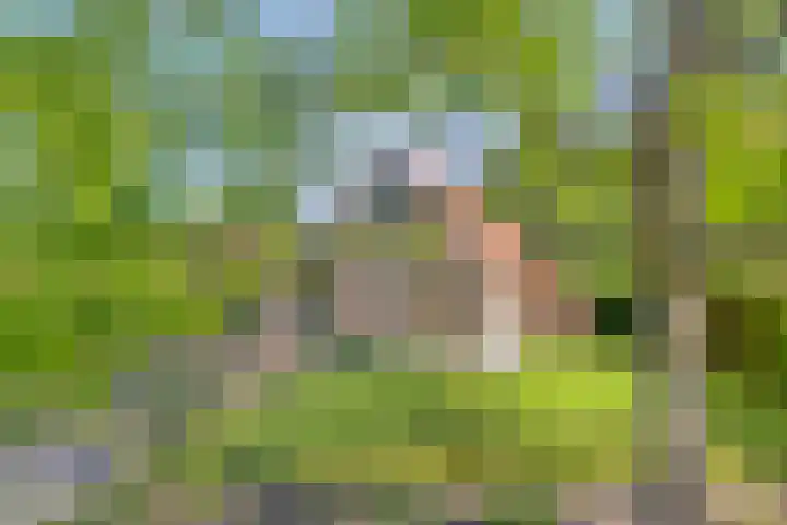 Zuidlaarderweg 37 V 70 Tynaarlo thumbnail 9