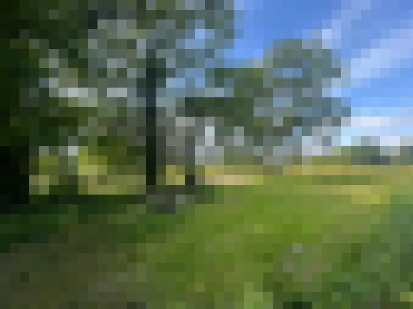 Zuidlaarderweg 47 Noordlaren thumbnail 7