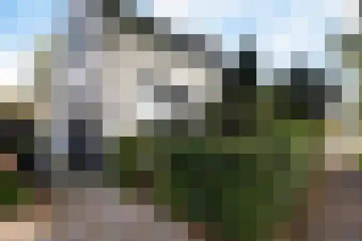 Zuidlaarderweg 50 Noordlaren thumbnail 5