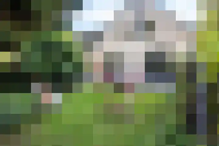 Zuidlaarderweg 50 Noordlaren thumbnail 53