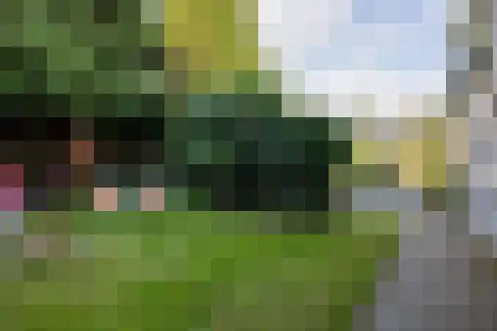 Zuidlaarderweg 50 Noordlaren thumbnail 6
