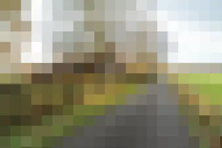 Zuidlaarderweg 6 Annen thumbnail 10