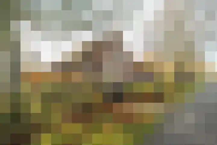 Zuidlaarderweg 6 Annen thumbnail 11