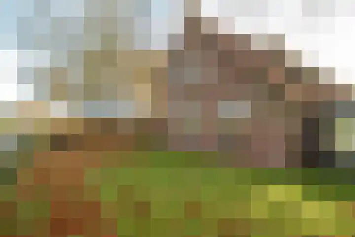 Zuidlaarderweg 6 Annen thumbnail 12