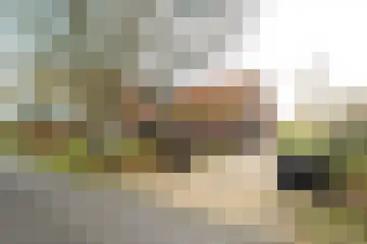 Zuidlaarderweg 6 Annen thumbnail 49