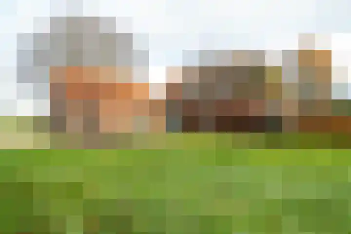 Zuidlaarderweg 6 Annen thumbnail 50