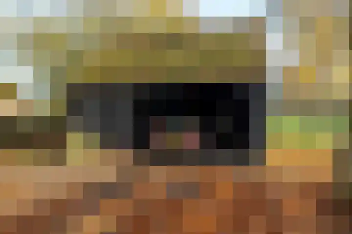 Zuidlaarderweg 6 Annen thumbnail 51