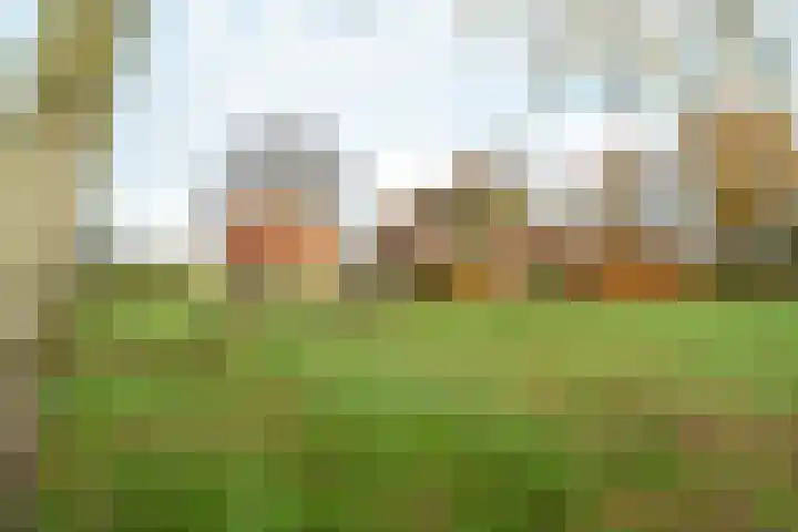 Zuidlaarderweg 6 Annen thumbnail 53