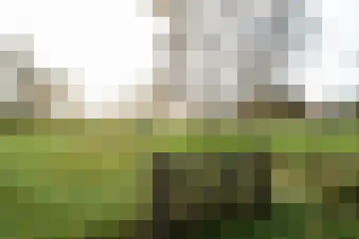 Zuidlaarderweg 6 Annen thumbnail 54