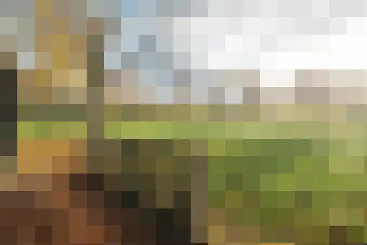 Zuidlaarderweg 6 Annen thumbnail 55