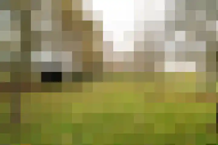 Zuidlaarderweg 6 Annen thumbnail 56