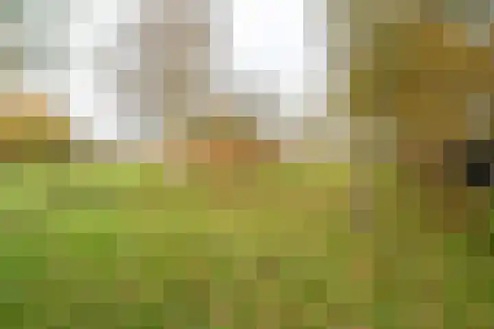 Zuidlaarderweg 6 Annen thumbnail 57