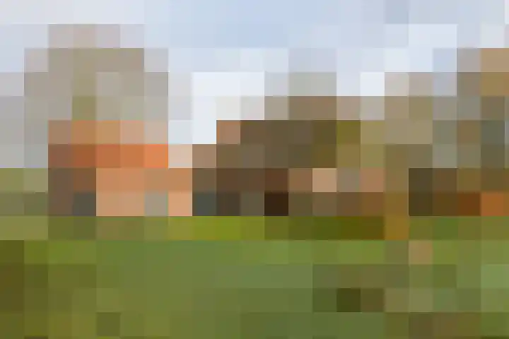 Zuidlaarderweg 6 Annen thumbnail 58