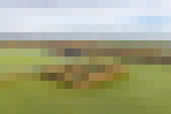 Zuidlaarderweg 6 Annen thumbnail 62