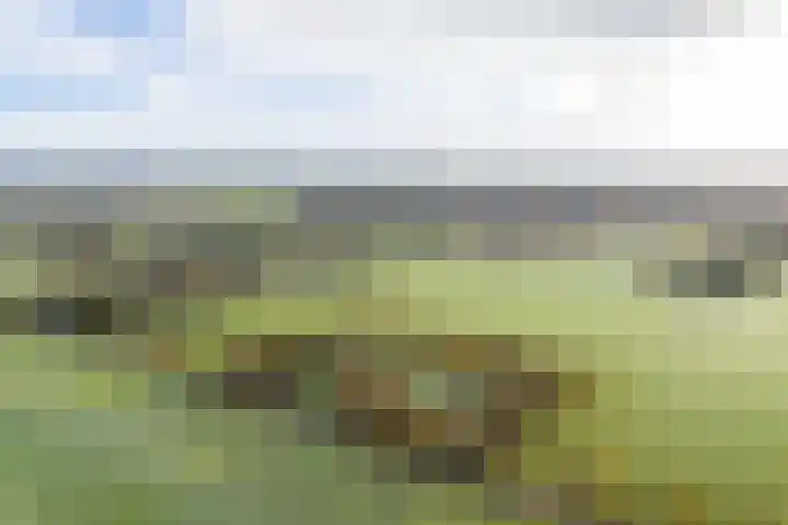 Zuidlaarderweg 6 Annen thumbnail 7