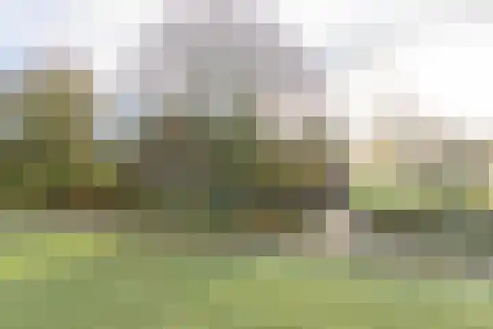 Zuidlaarderweg 6 Annen thumbnail 9