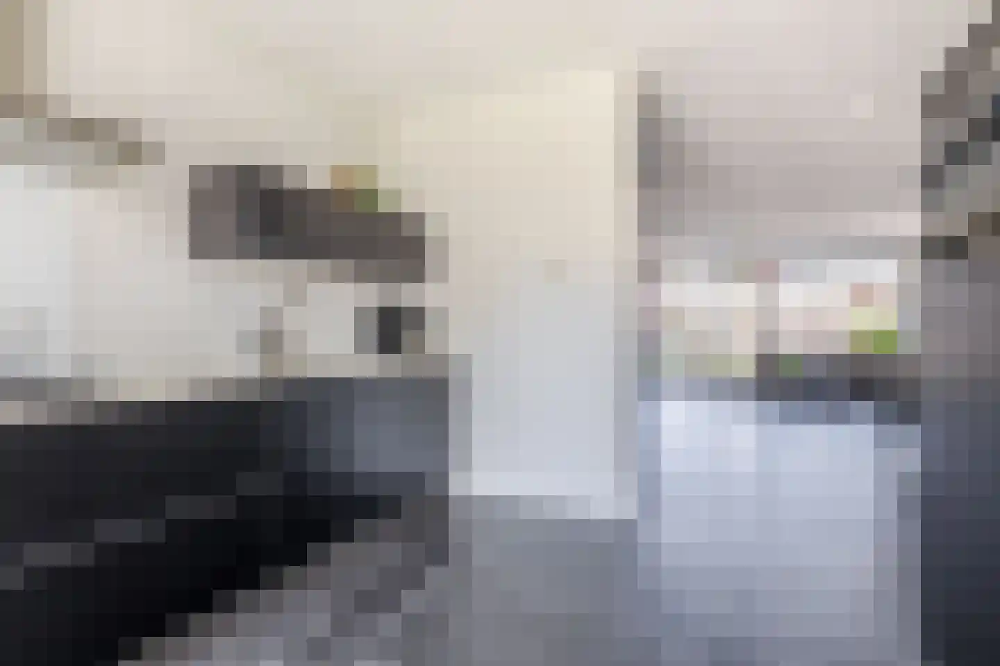 Zuidland 14 Drunen thumbnail 13