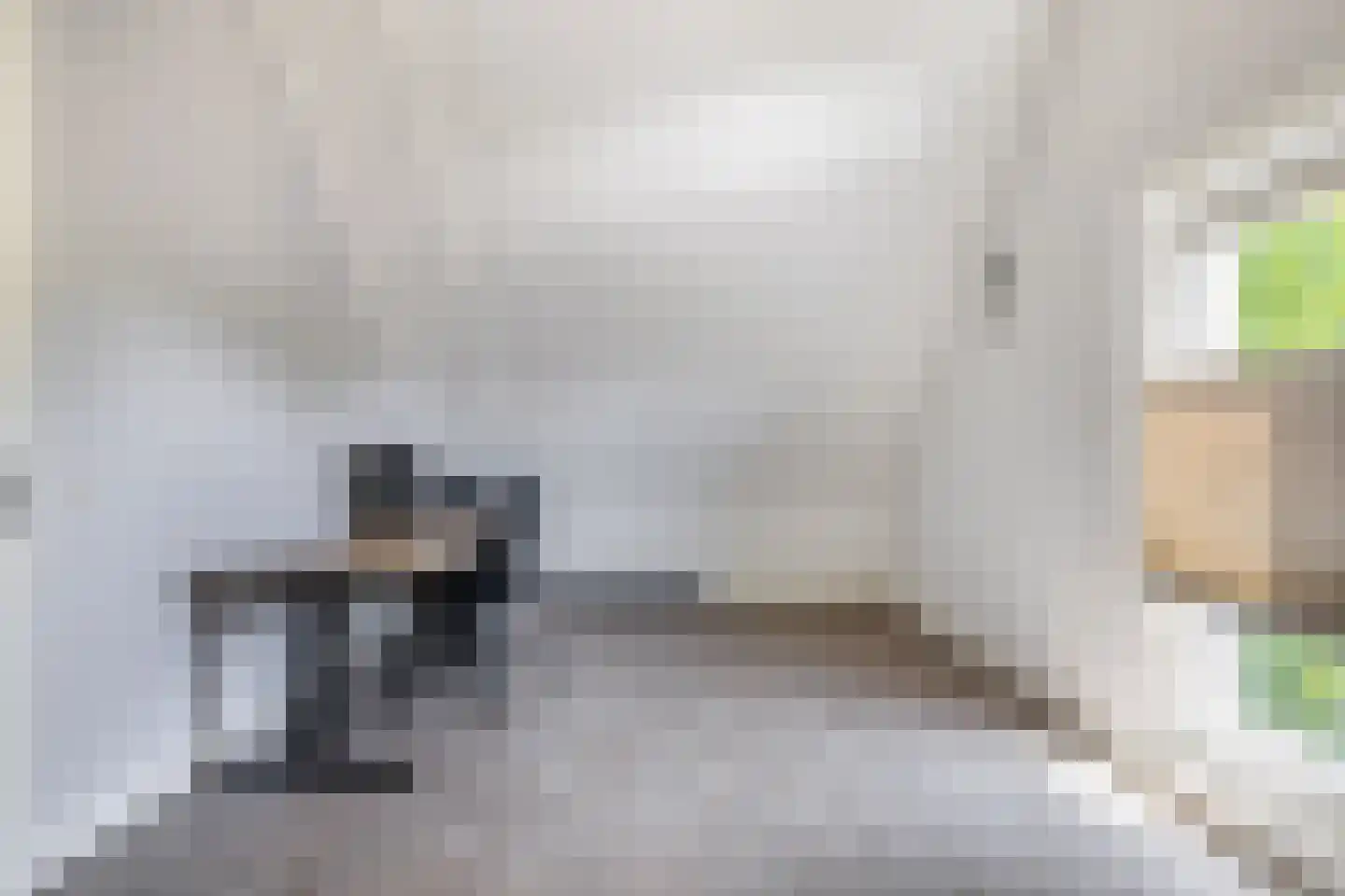 Zuidland 14 Drunen thumbnail 31