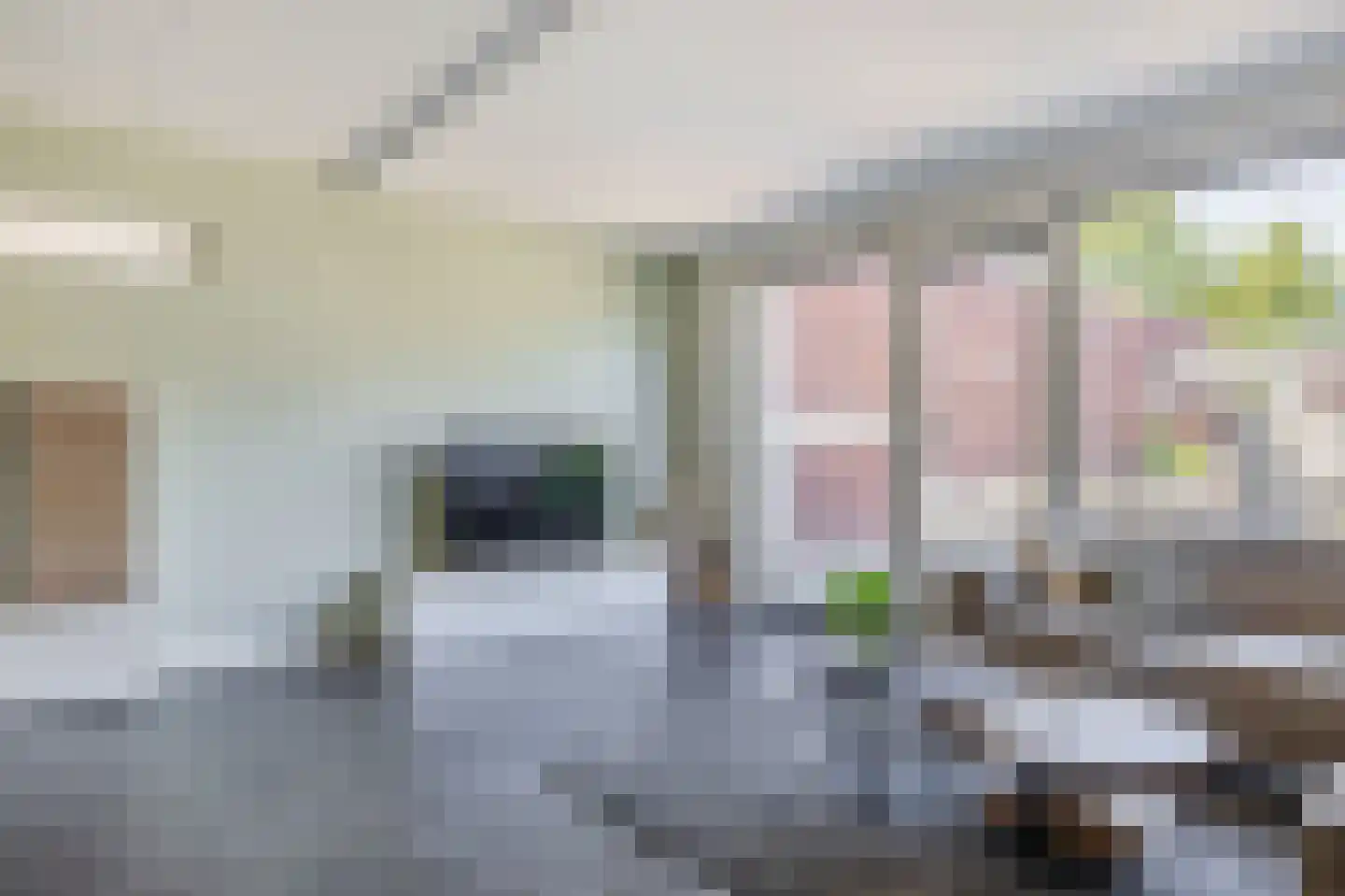 Zuidland 14 Drunen thumbnail 9