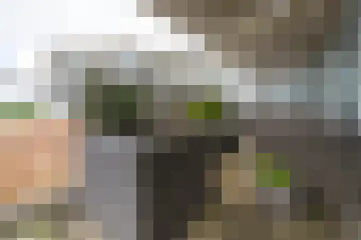 Zuidland 15 Alphen aan den Rijn thumbnail 12