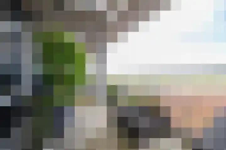 Zuidland 15 Alphen aan den Rijn thumbnail 14