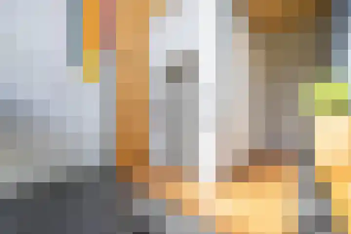 Zuidland 15 Alphen aan den Rijn thumbnail 19