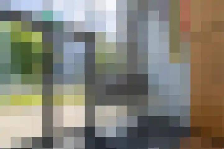 Zuidland 15 Alphen aan den Rijn thumbnail 20