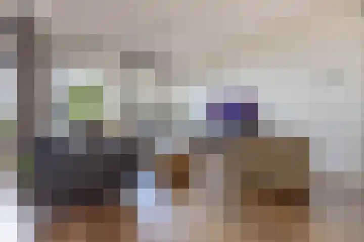 Zuidland 15 Alphen aan den Rijn thumbnail 4