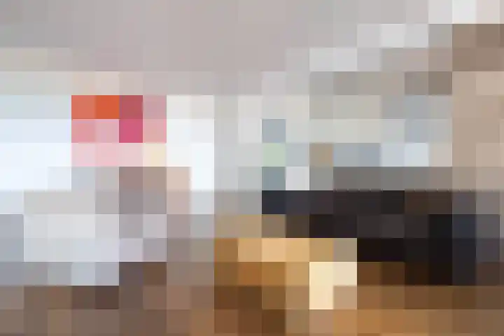 Zuidland 15 Alphen aan den Rijn thumbnail 5